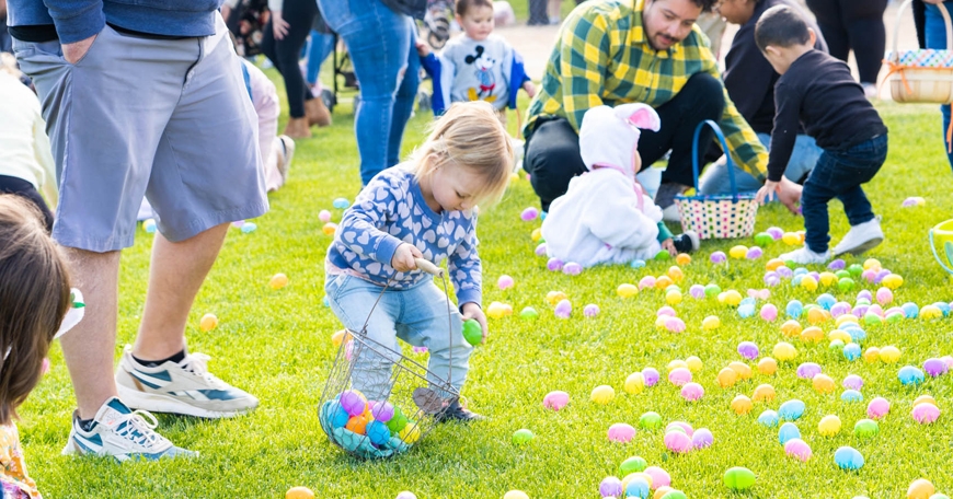 The Bunny Hop The Bunny Hop