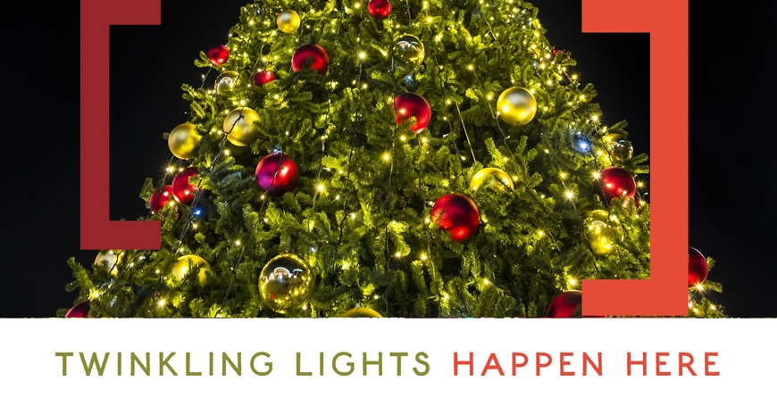 Santa's Arrival Tree Lighting Santa's Arrival Tree Lighting