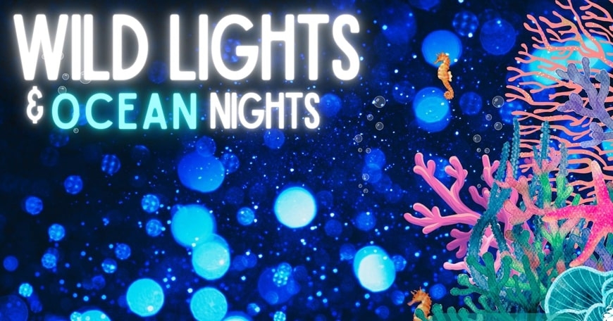 Wild Lights & Ocean Nights Wild Lights & Ocean Nights