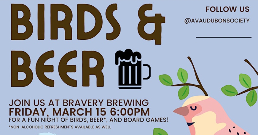 Birds & Beer Birds & Beer