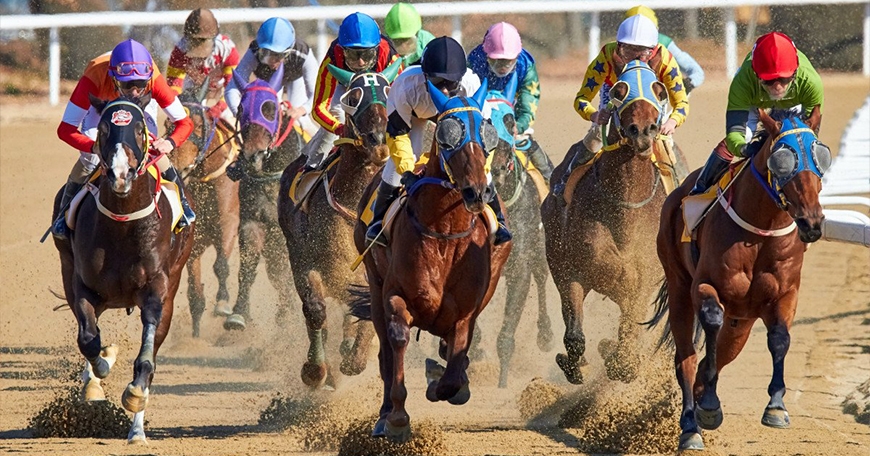 Watch & Wager Watch & Wager