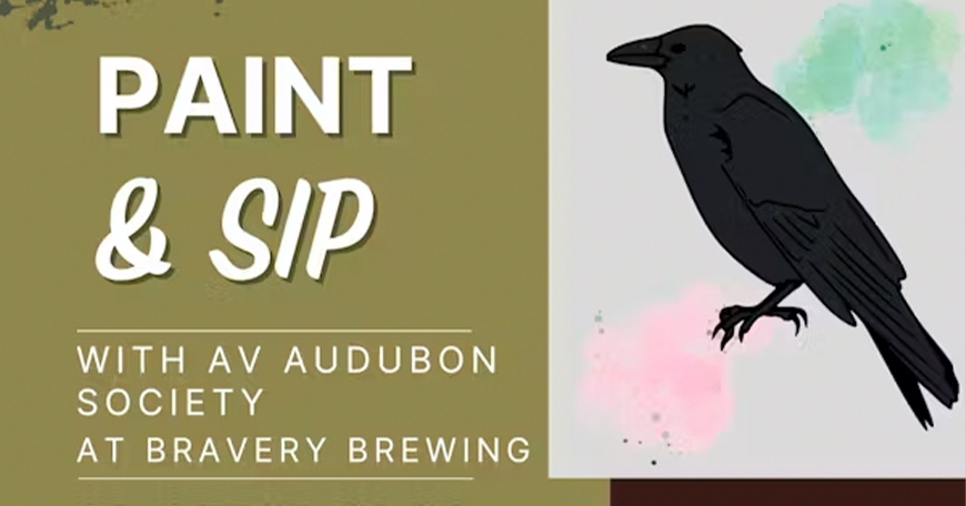 Birds and Beer: Paint and Sip Birds and Beer: Paint and Sip