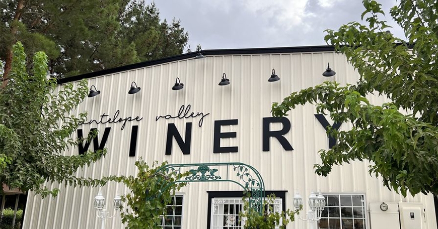 Winter Farmer's Market Winter Farmer's Market