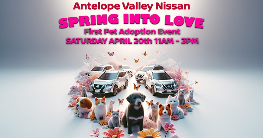 Spring into Love Pet Adoption Event Spring into Love Pet Adoption Event