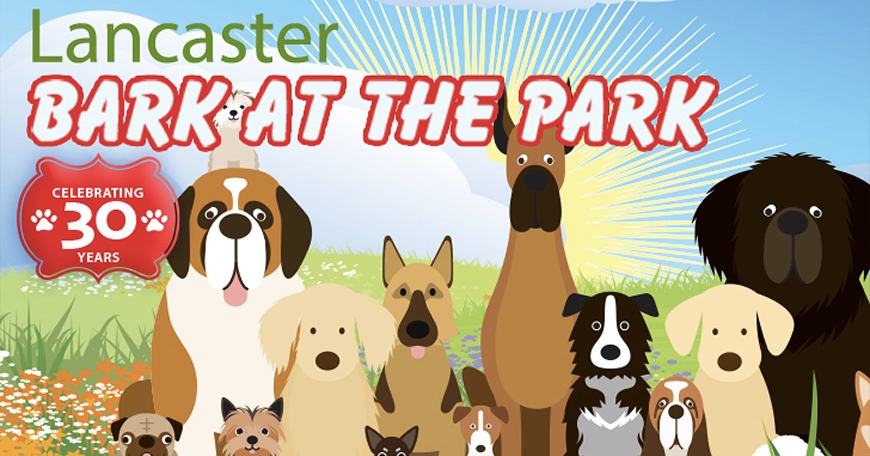 Bark at the Park Bark at the Park
