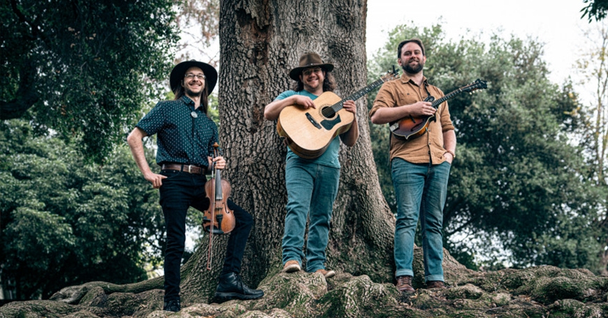 Folk Night Folk Night