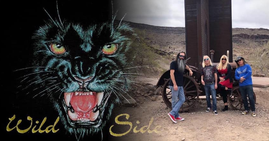 Lancaster Summer Concert Series: Wild Side Band Lancaster Summer Concert Series: Wild Side Band