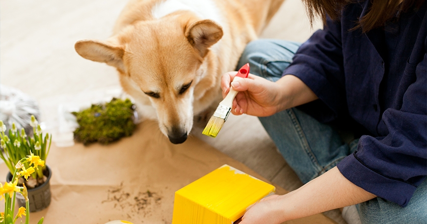 Paw-some Creations Paw-some Creations