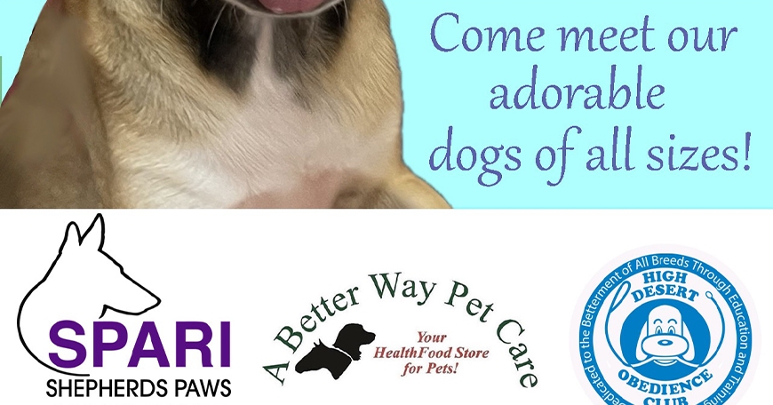 Dog Adoption Event Dog Adoption Event