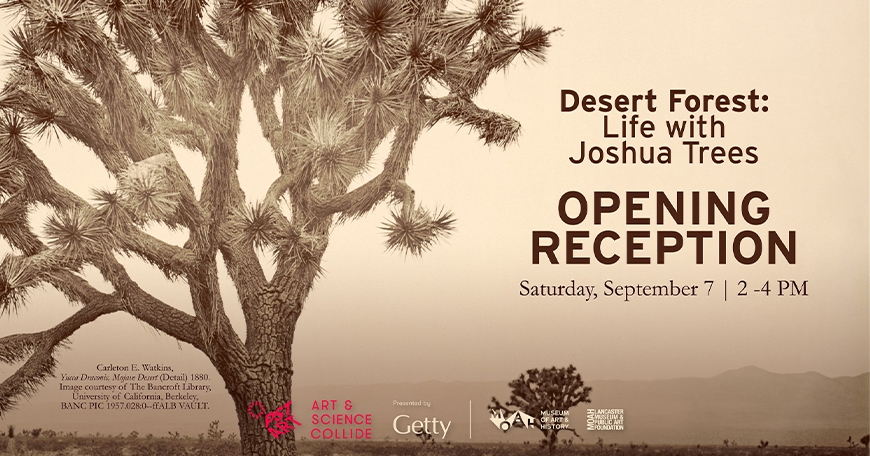 Desert Forest Opening Reception Desert Forest Opening Reception