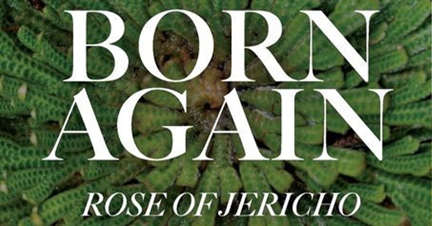 Minister Thomas Defilippi Meet & Greet Signing Minister Thomas Defilippi Meet & Greet Signing