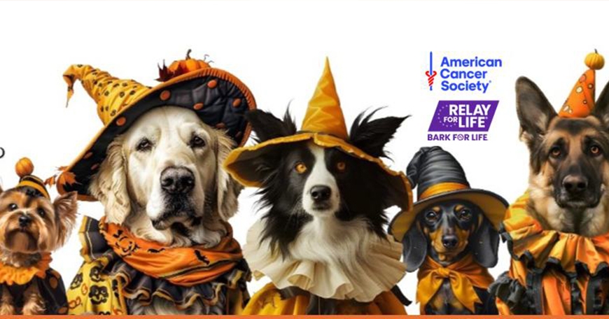 SCV Bark for Life 2024 SCV Bark for Life 2024
