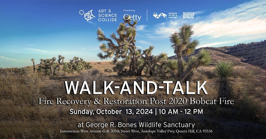 Walk-and-Talk Walk-and-Talk