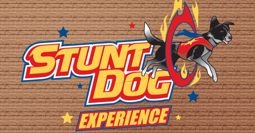 Stunt Dog Experience Stunt Dog Experience