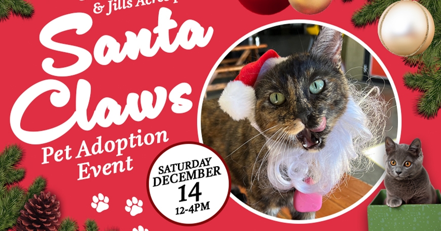 Santa Claws Pet Adoption Event Santa Claws Pet Adoption Event