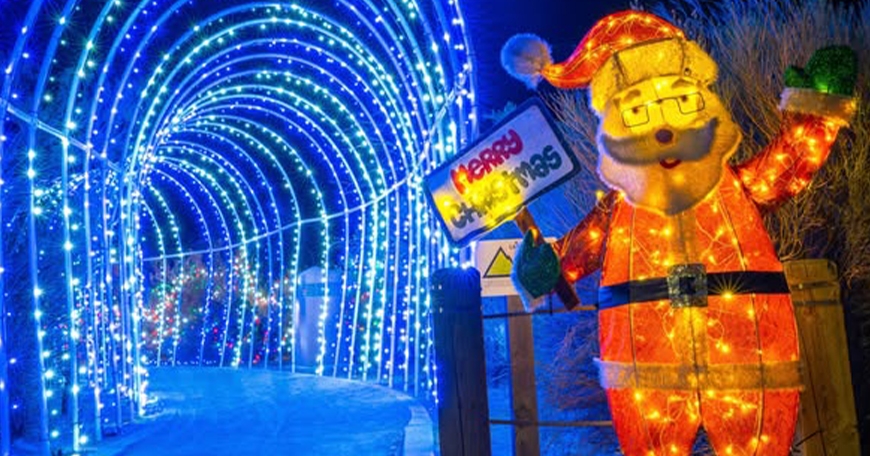 Prime Lights Prime Lights