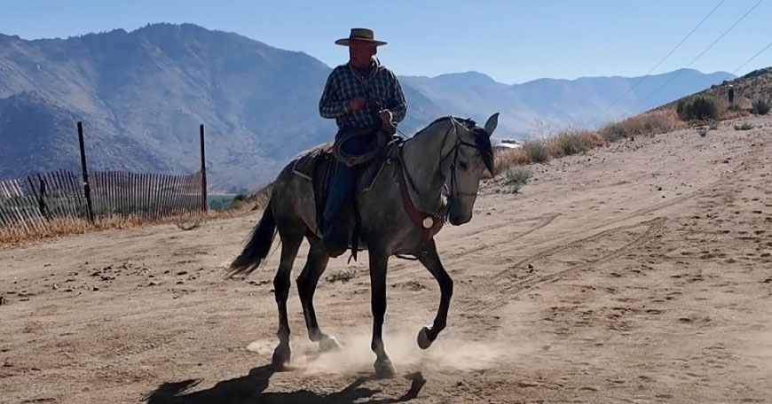 Horsemanship Clinic: Refining Your Ride Horsemanship Clinic: Refining Your Ride