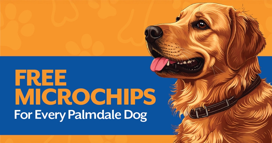 Free Drive-Thru Microchip Clinic for City of Palmdale Residents Free Drive-Thru Microchip Clinic for City of Palmdale Residents