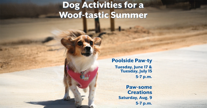 Poolside Paw-ty for Pups Poolside Paw-ty for Pups