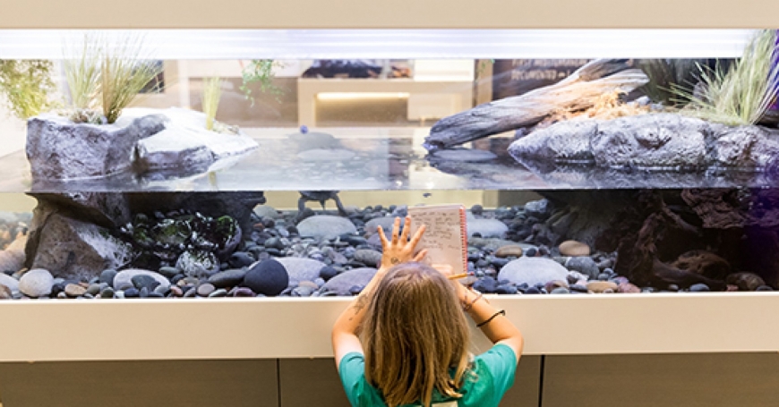 Adventures in Nature | Nautical Adventures Adventures in Nature | Nautical Adventures