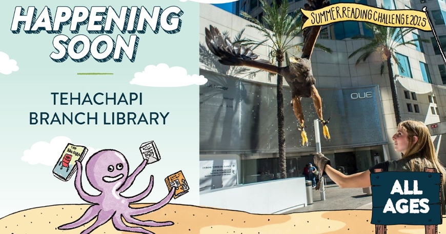 High Desert Falconry High Desert Falconry