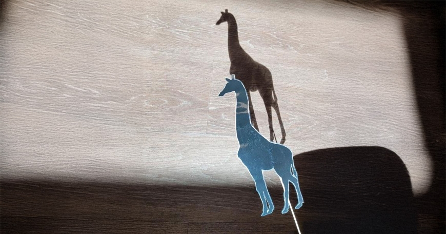 STEM: Shadow Puppets