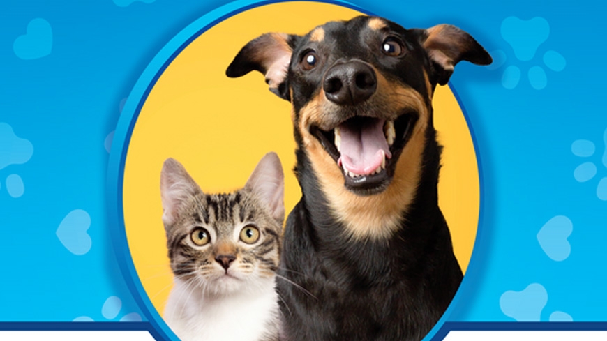 Trust AV Subaru - Pet Adoption Event Trust AV Subaru - Pet Adoption Event