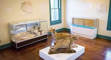 Western Hotel Museum Western Hotel Museum Photo